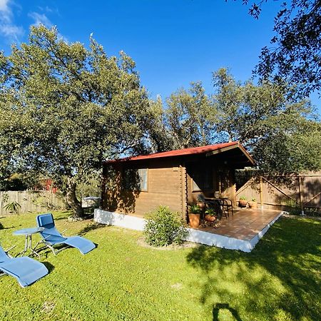 Casita Louisa Villa Chiclana de la Frontera Dış mekan fotoğraf